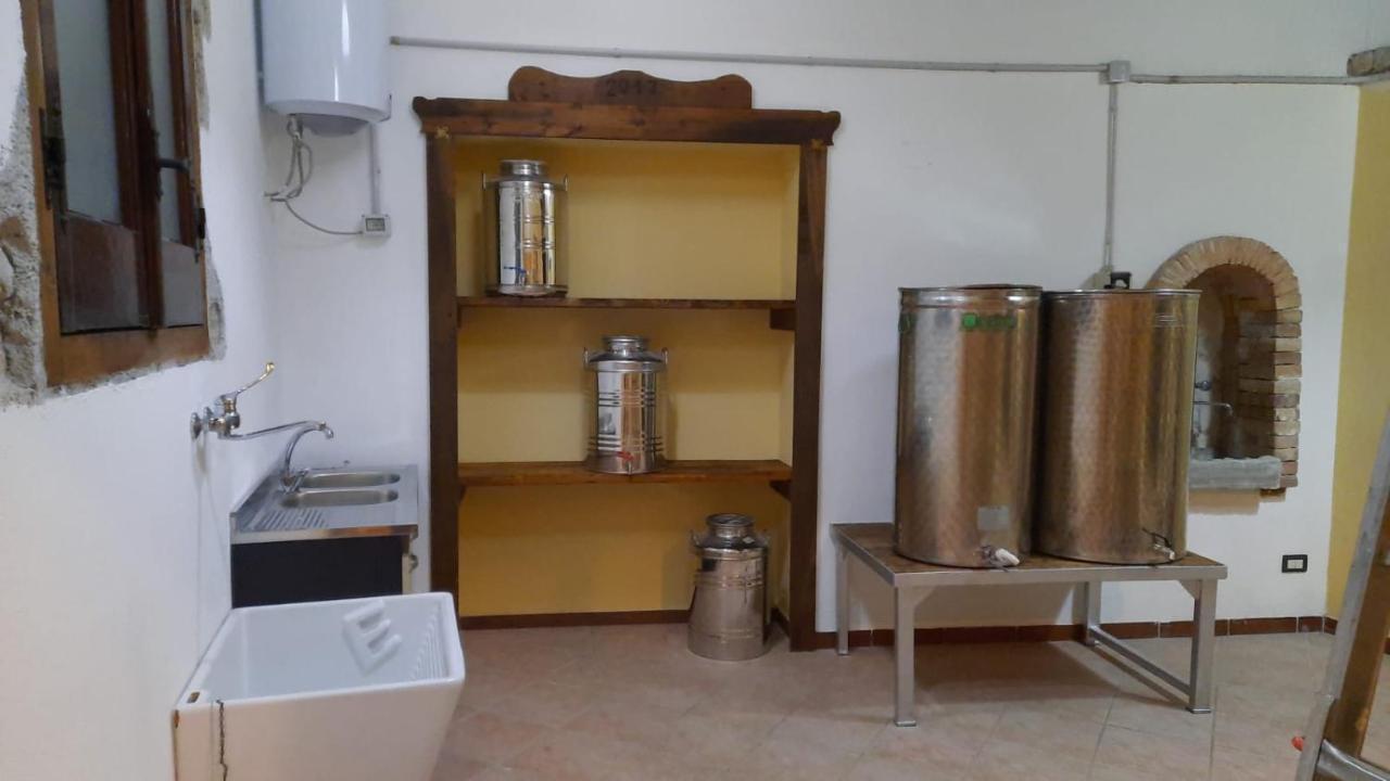 Villa Agriturismo Albero Del Miele à San Rufo Extérieur photo