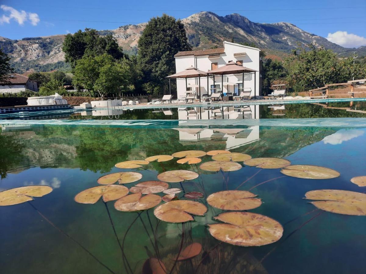 Villa Agriturismo Albero Del Miele à San Rufo Extérieur photo